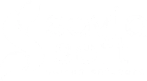 image del logo blanco saviasoft